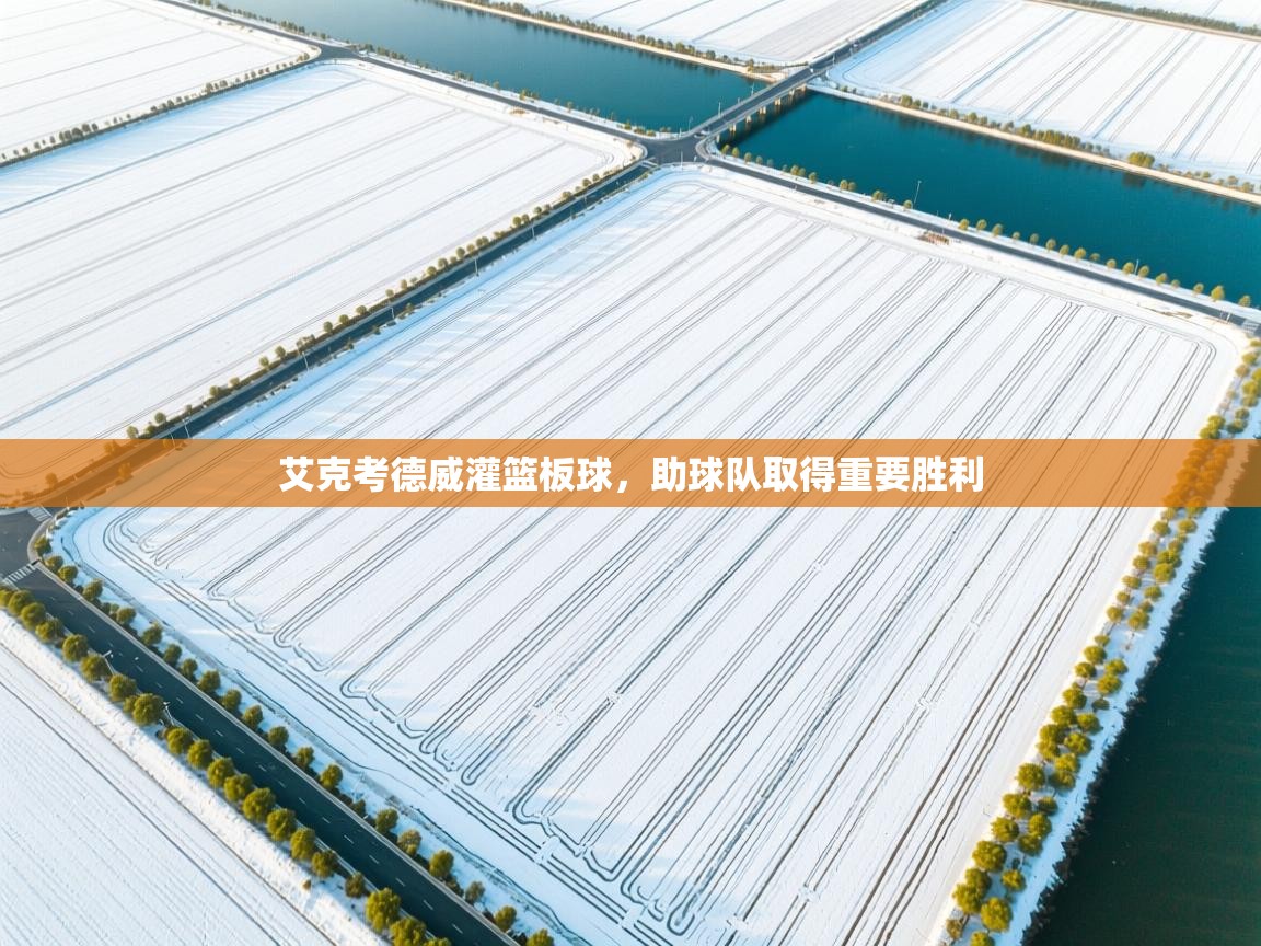 艾克考德威灌篮板球,助球队取得重要胜利 第1张